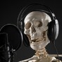 6,000-year-old human remains found in Kerry
