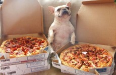 Domino's gave this man a year of free pizza for his admirable honesty