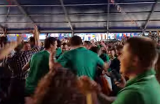 Did you go as nuts watching Japan as these Irish fans in Cardiff?