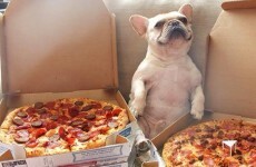 Domino's gave this man a year of free pizza for his admirable honesty