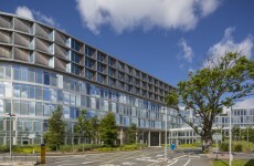 Celtic Tiger Elmpark campus on sale for €185 million