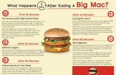 This infographic claims to show what happens to your body after a Big Mac