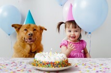 Good news for film producers ... people can now sing 'Happy Birthday' without being sued