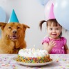 Good news for film producers ... people can now sing 'Happy Birthday' without being sued