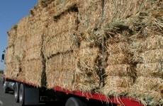 Heading home from the Ploughing? Expect heavy delays