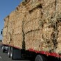 Heading home from the Ploughing? Expect heavy delays