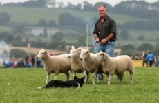 This rural village is about to get some of the fastest broadband in the country