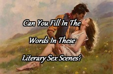 Can You Fill In The Words In These Literary Sex Scenes?