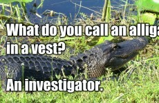 13 completely inoffensive and hilarious jokes that you can tell down the pub tonight