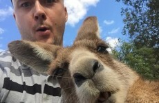 Here's what went viral today: Friday