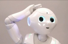 Robot owners told not to have sex with them