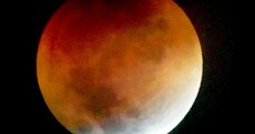 Photos: Didn't manage to see the blood moon last night? Here is what you missed...