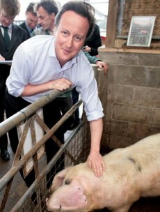 Here's what David Cameron has to say about claims he got too close to a pig