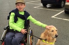 'My son will never live independently. I fear for his future when I'm dead'