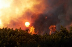 Animals burn to death in Limerick barn fire