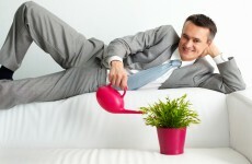 Food growing isn't just for those with ten acres, you can even grow stuff at your desk