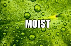 8 words that people really, really, really need to stop using