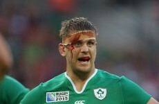Joe Schmidt 'a great coach, but an intense, scary guy as well'