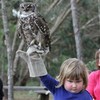 This little girl holding an owl has become an unstoppable meme