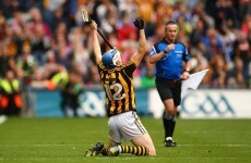 Kilkenny and Galway lead the way as 2015 hurling Allstar nominations revealed