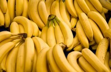 'Success' story for officers as €10m in cocaine found with pureed bananas