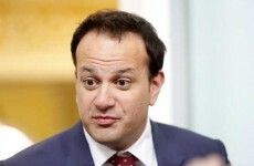 Leo announces plans to get rid of HSE within five years