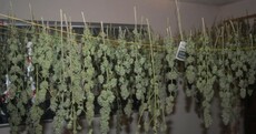 Man charged after this grow house was discovered in Kildare
