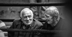 Sheep, farming and a day out: Brilliant snapshots from a sale of Scotch rams in Kerry