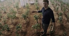 Matt Damon used manure to grow potatoes on Mars - it works pretty well down here too