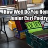 How Well Do You Remember Junior Cert Poetry?