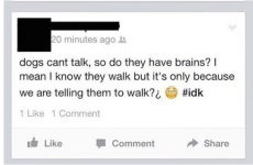 The 22 stupidest things that happened on the internet in 2015