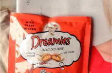 Some people thought the cat food given away in the Sindo was a delicious treat