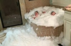 Here's what went viral today: Wednesday
