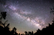Scientists think they may have found alien 'megastructures' in space