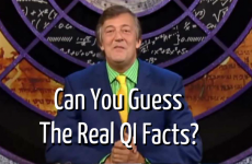 Can You Guess the Real QI Facts?