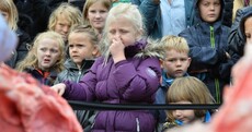 Danish zoo criticised for dissecting a lion in front of a crowd of children