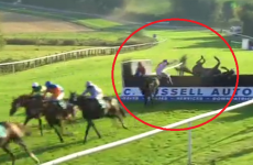 You're minding your own business, jumping a fence, when BAM!