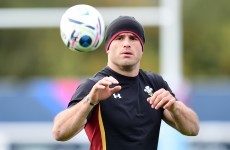 Wales star expects ambulances for Springboks clash