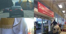 Minions. Hugging dogs. A snow penis. These are the photos that went viral in 2015