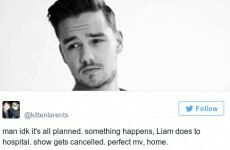 9 of the best conspiracy theories about the cancelled One Direction gig