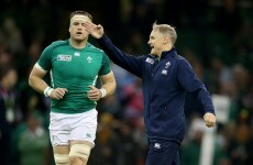 Ireland's review must be thorough as they move on from RWC failure