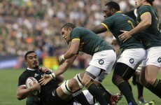 Current All Blacks 'probably the best team to ever play the game' -- Springbok boss Meyer