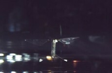 Take a break and watch this tiny insect robot fly and swim in water
