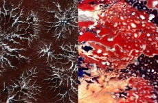 Quiz: Can you tell if these photos are from Mars or Earth?