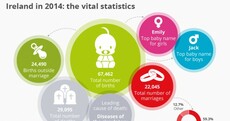 Births, deaths, crimes, marriages and sales - A snapshot of a year in Ireland