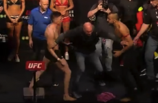 It almost kicked off between Norman Parke and Reza Madadi at the UFC Dublin weigh-ins