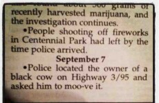 13 of the most hilariously mundane police reports ever