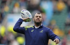 Cheika calls on knock-out experience to prep Wallabies for Pumas