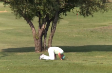 Golfer hits a tree, ball rebounds back into his special area