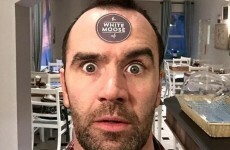 This Dublin café's 'war on vegans' is going viral all over the world